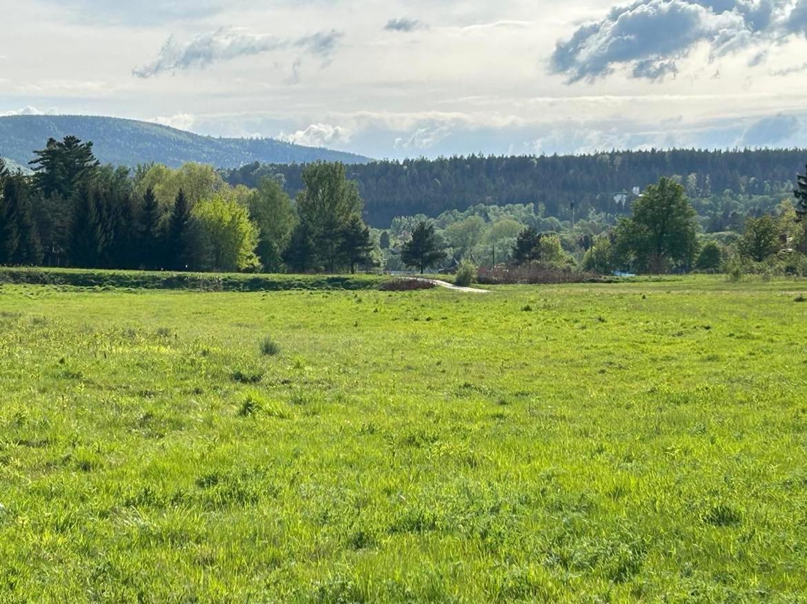 Appartamento Lesny Park Polanica Szczytna Esterno foto