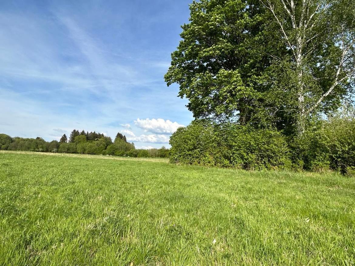 Appartamento Lesny Park Polanica Szczytna Esterno foto