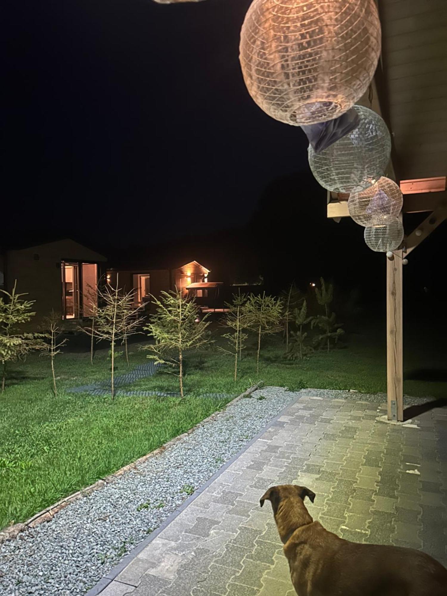 Appartamento Lesny Park Polanica Szczytna Esterno foto