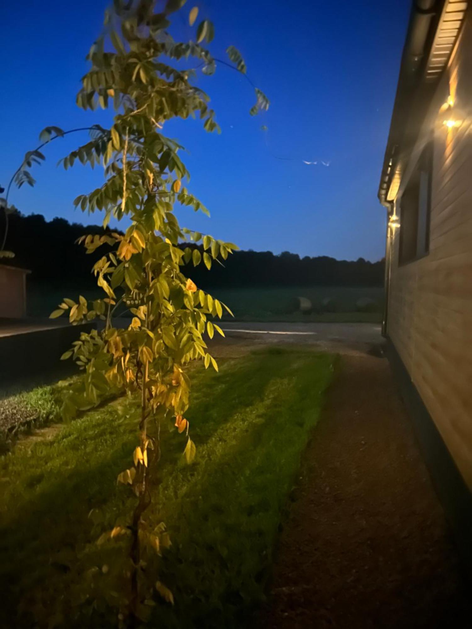 Appartamento Lesny Park Polanica Szczytna Esterno foto