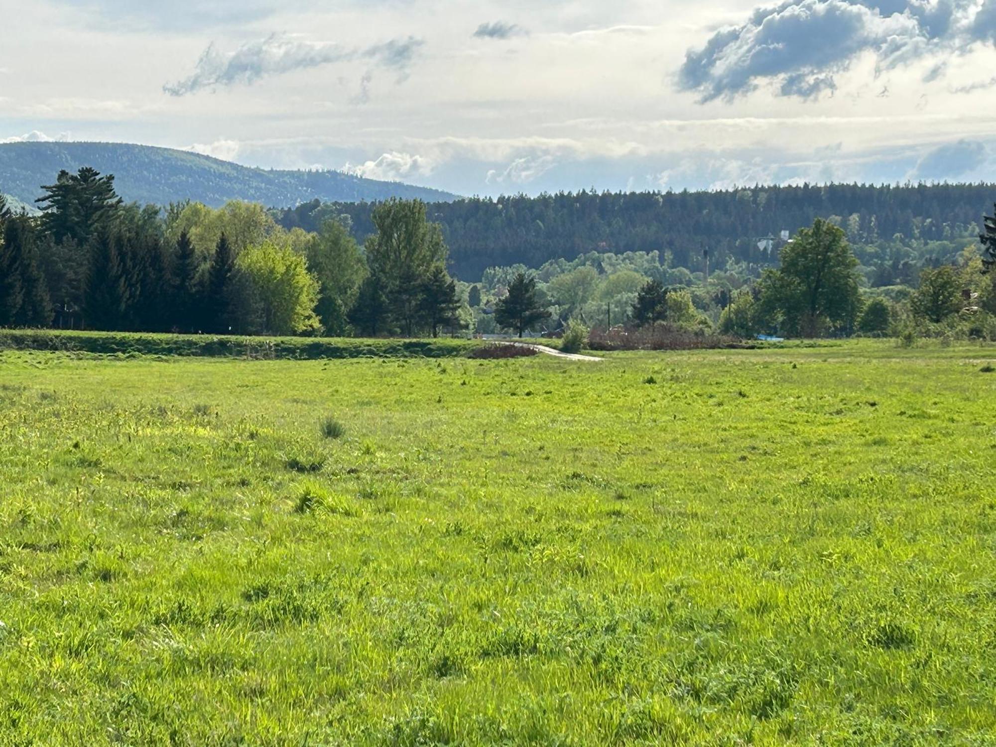 Appartamento Lesny Park Polanica Szczytna Esterno foto