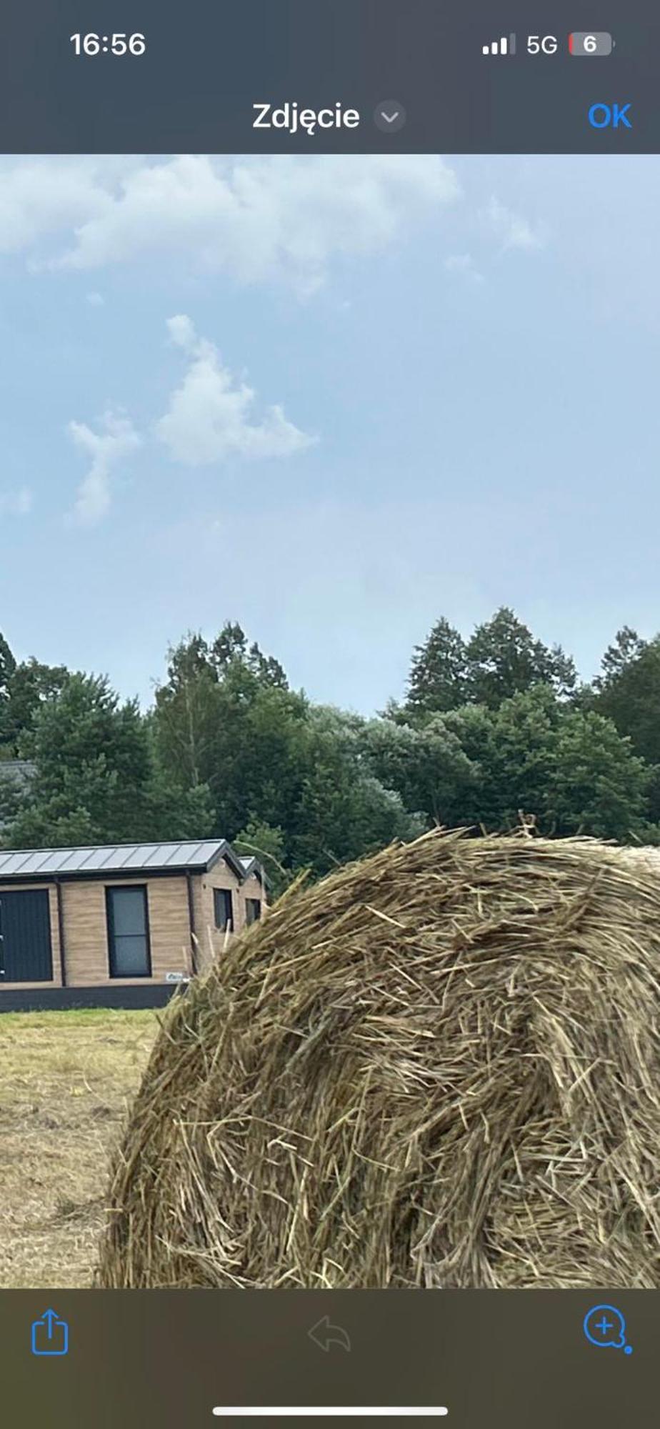 Appartamento Lesny Park Polanica Szczytna Esterno foto