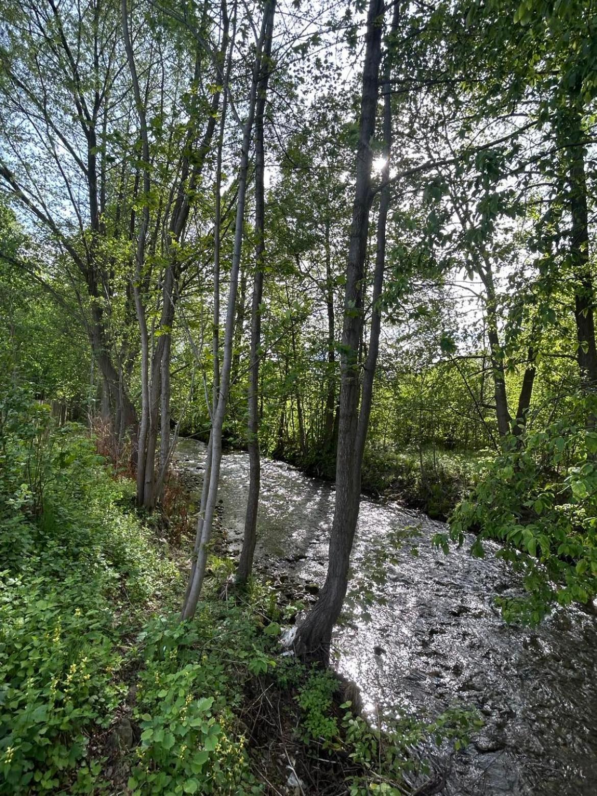 Appartamento Lesny Park Polanica Szczytna Esterno foto